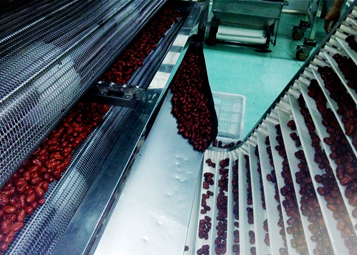 红枣微波干燥设备好想你枣业投产使用